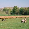 scottish accommodation